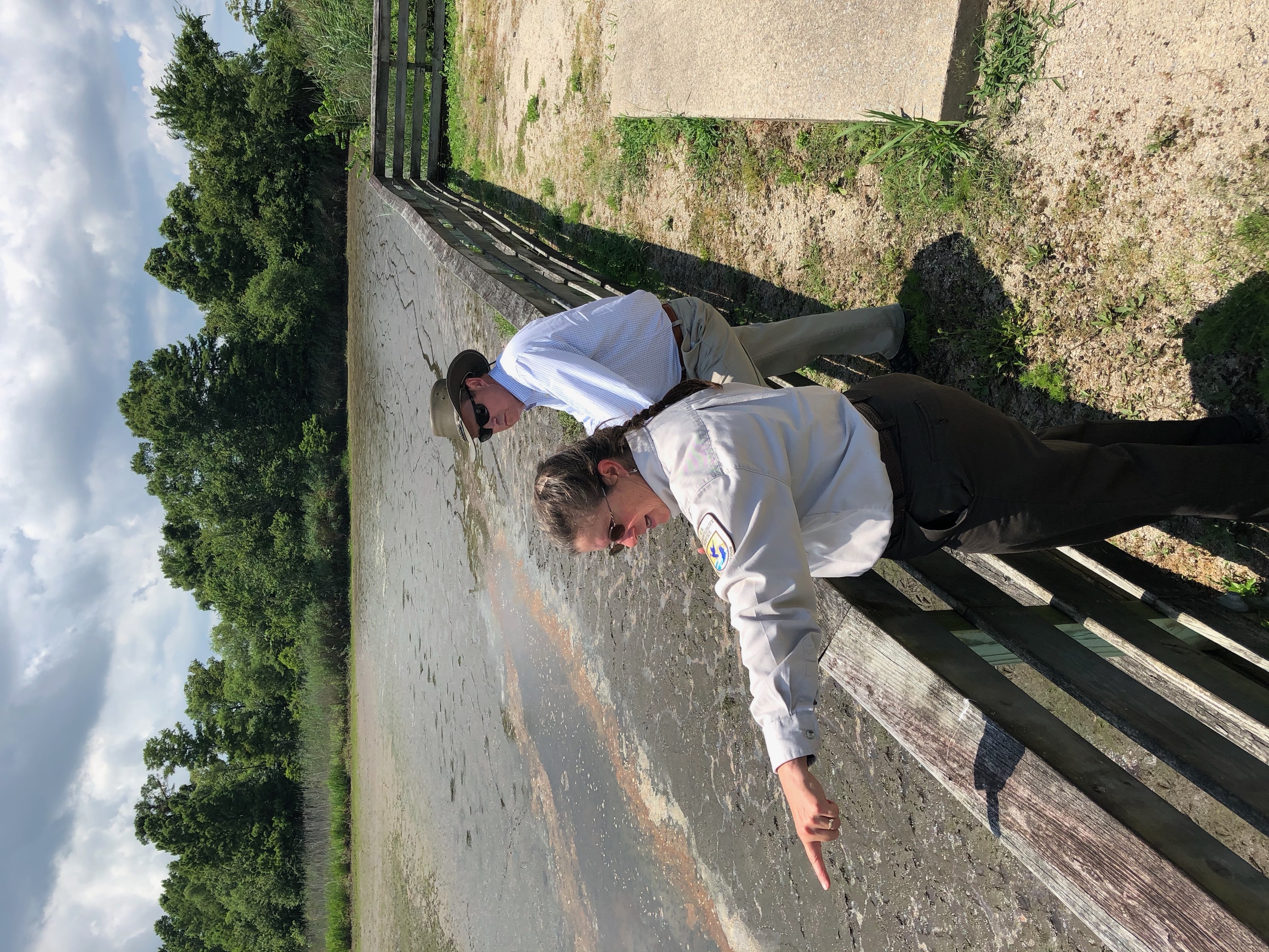 Murphy overlooking Lake Mattamuskeet